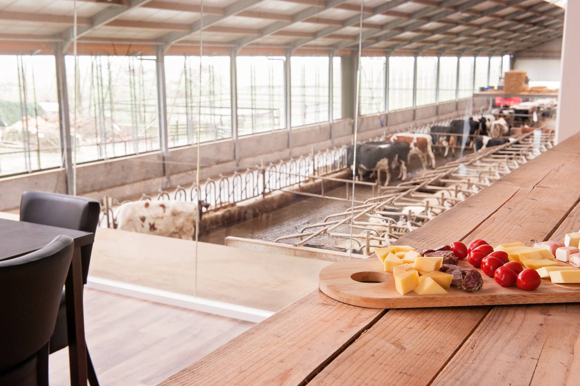 MF1801-222 website zichtstal kaasplank